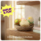 Taba Squishy Chicken Nest Egg Kit