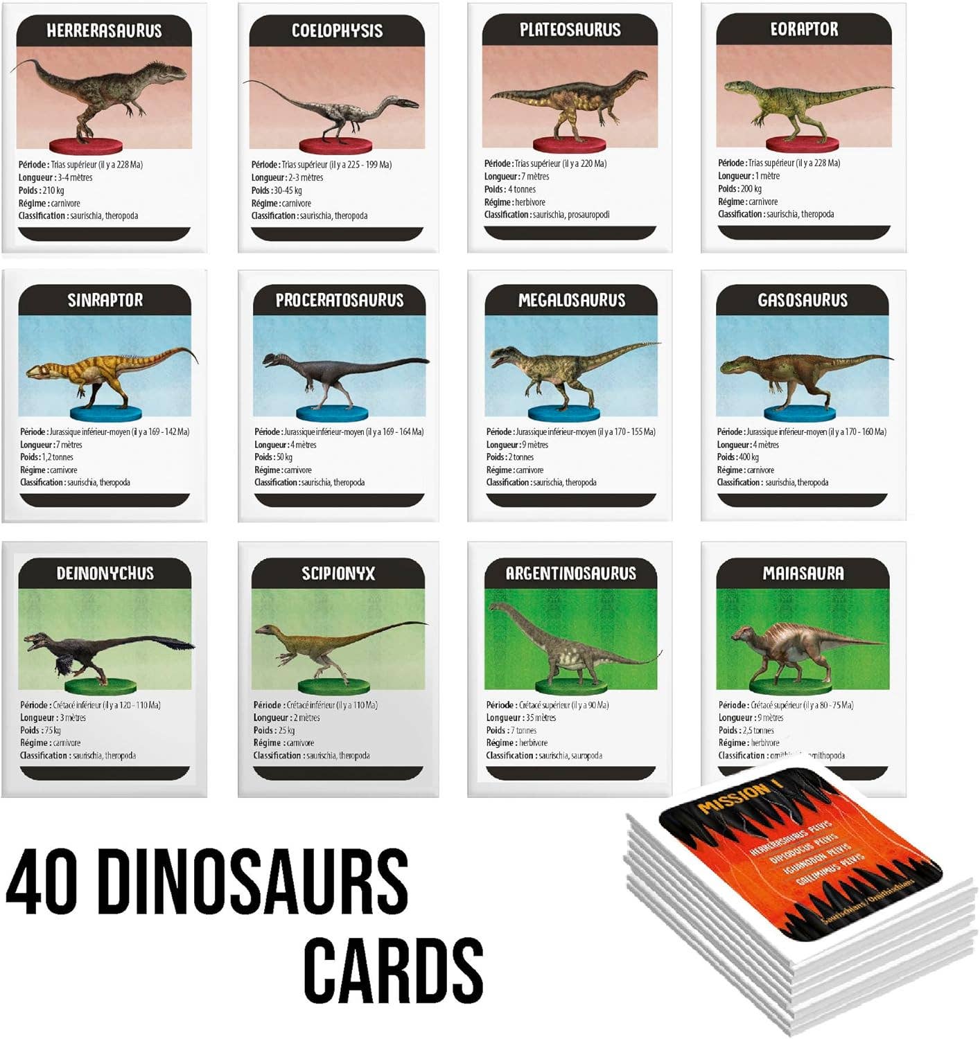 Dinosaurs under X-Ray Educational Toy