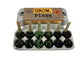Pizza Garden Grow Kit
