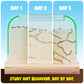 Ant Farm Kit for Kids