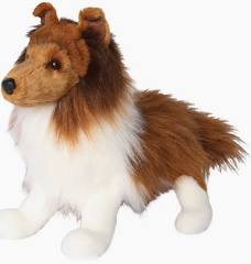 Whispy Sheltie