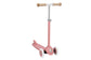 ECO SCOOTER - RASPBERRY