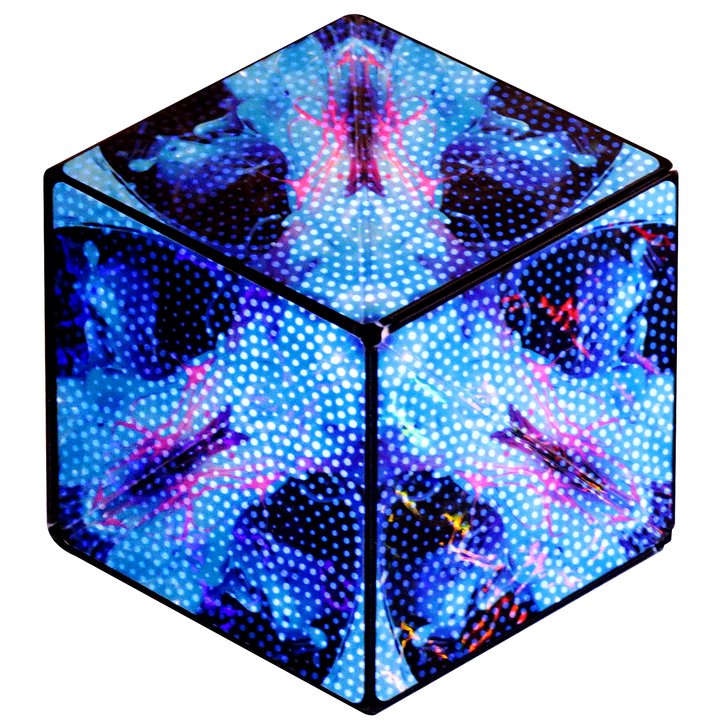 Shashibo Holographic