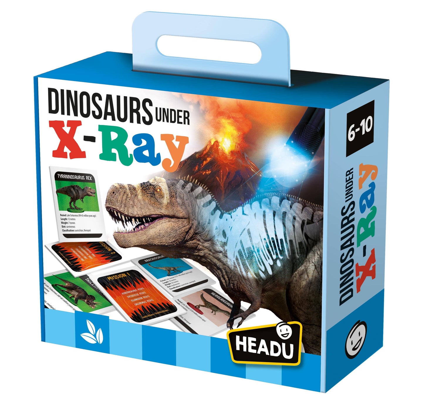 Dinosaurs under X-Ray Educational Toy