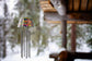 Solar Powered Light-Up Wind Chime Kit