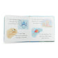 ABC By The Sea Board Book