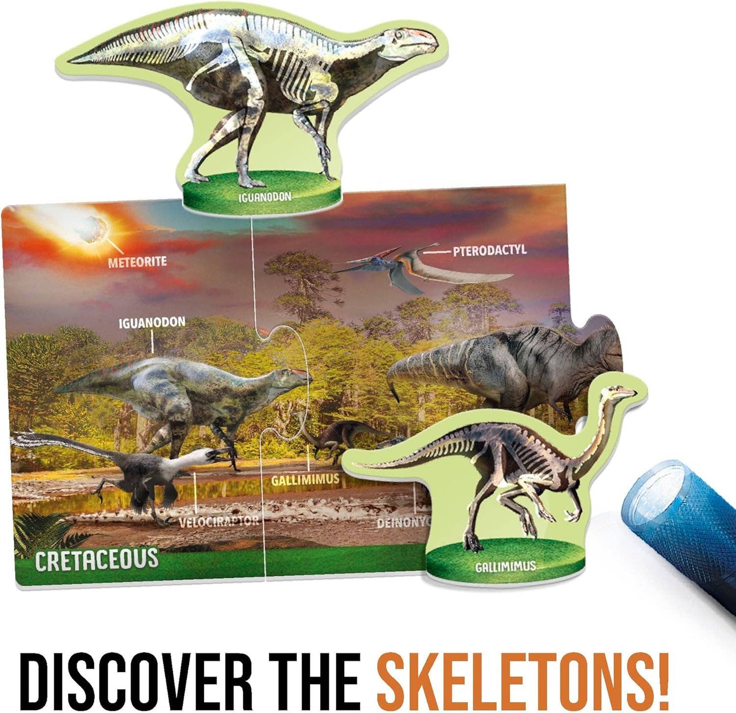 Dinosaurs under X-Ray Educational Toy