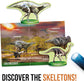 Dinosaurs under X-Ray Educational Toy