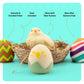Taba Squishy Chicken Nest Egg Kit