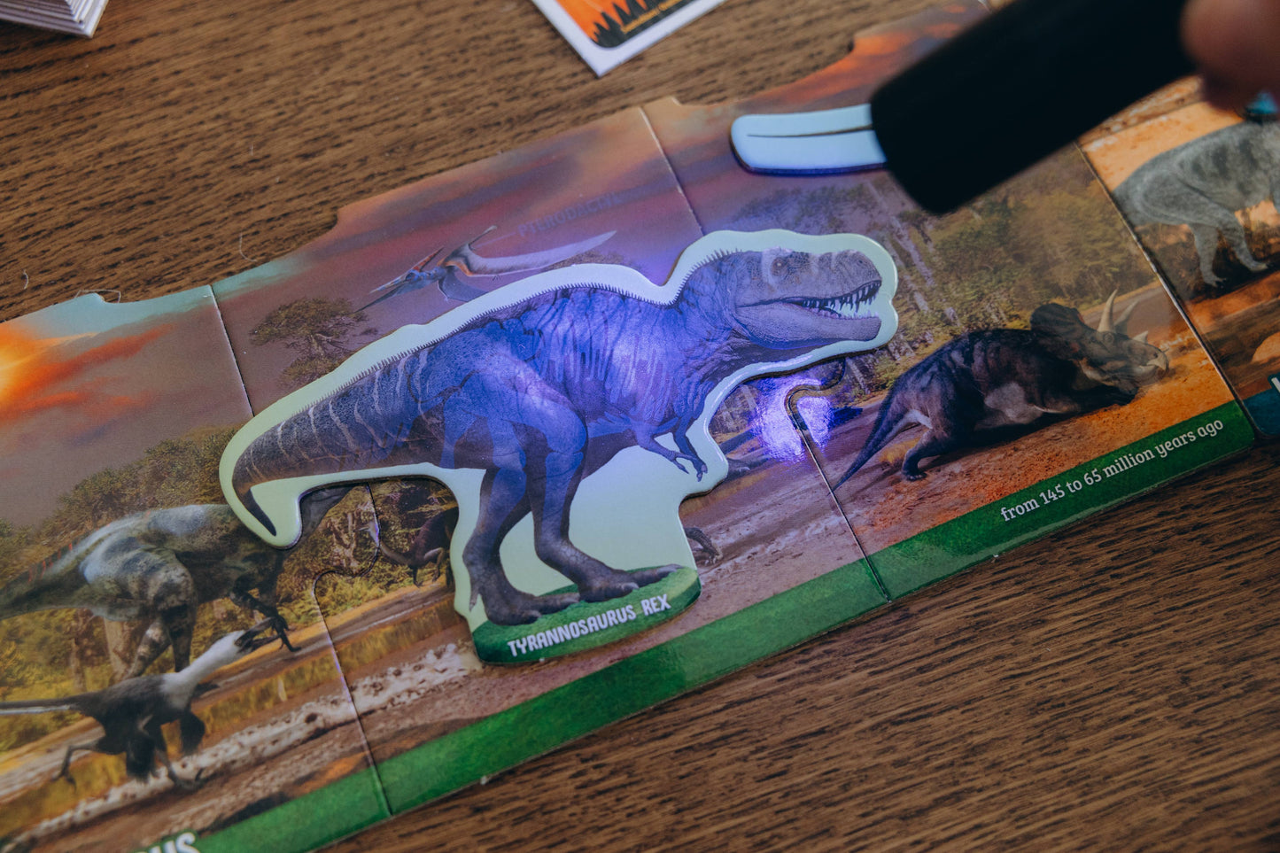 Dinosaurs under X-Ray Educational Toy