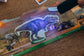 Dinosaurs under X-Ray Educational Toy