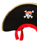 Pirate hat