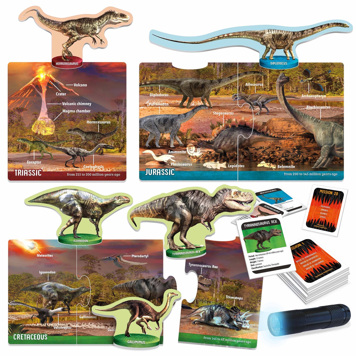 Dinosaurs under X-Ray Educational Toy