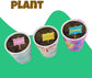Paint & Plant Stoneware Gardening Kit