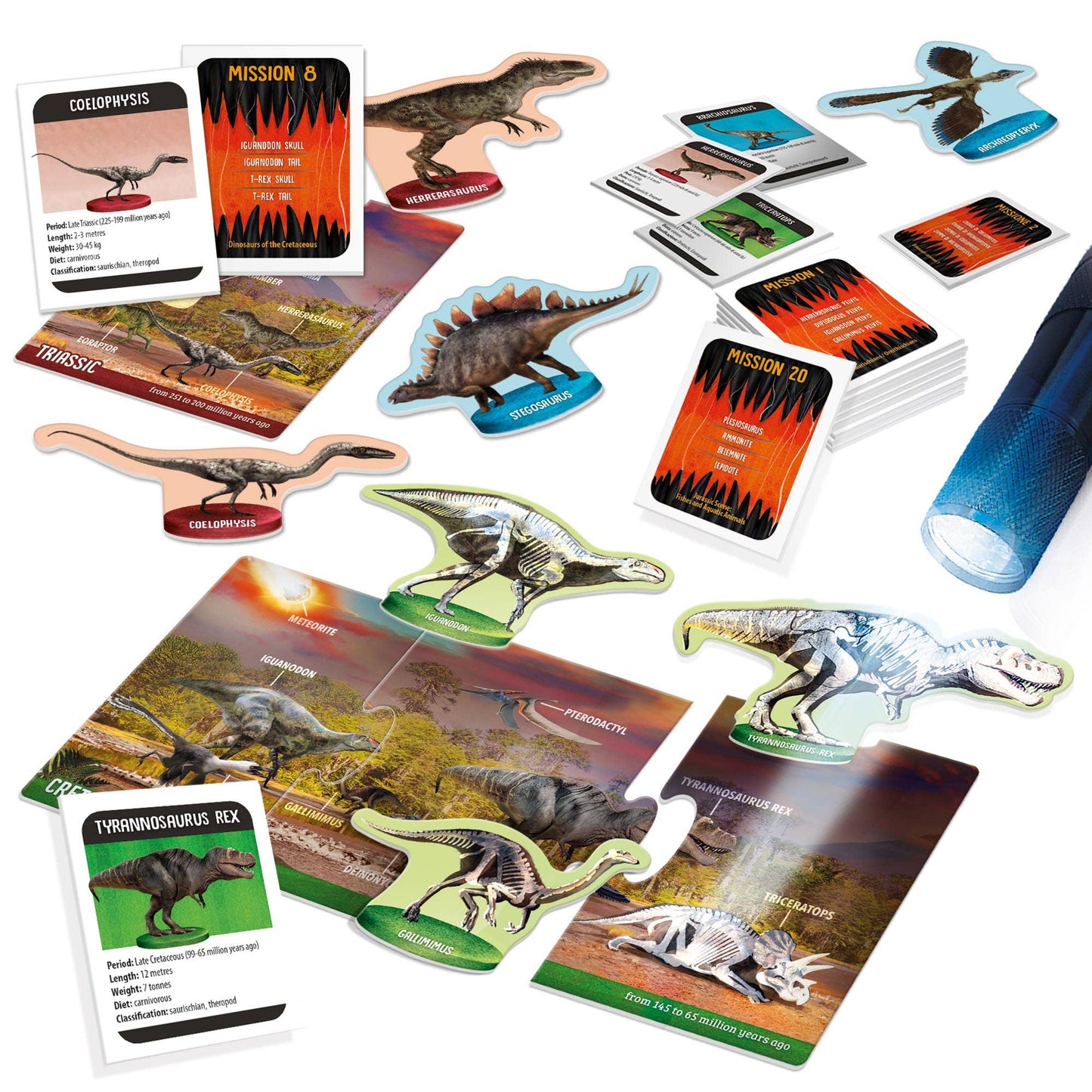 Dinosaurs under X-Ray Educational Toy