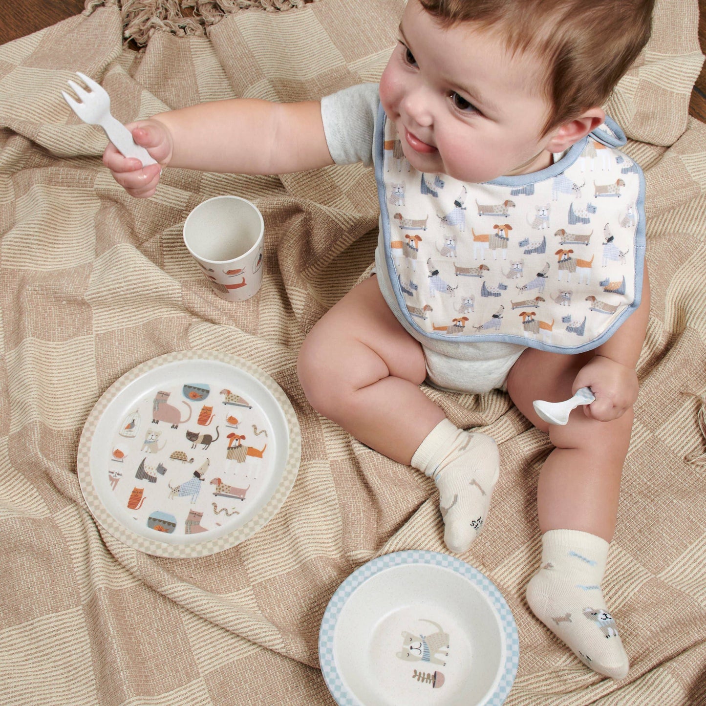 Pets Meal Set