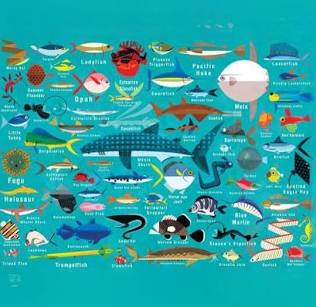 Puzzle 1000 Ocean Life