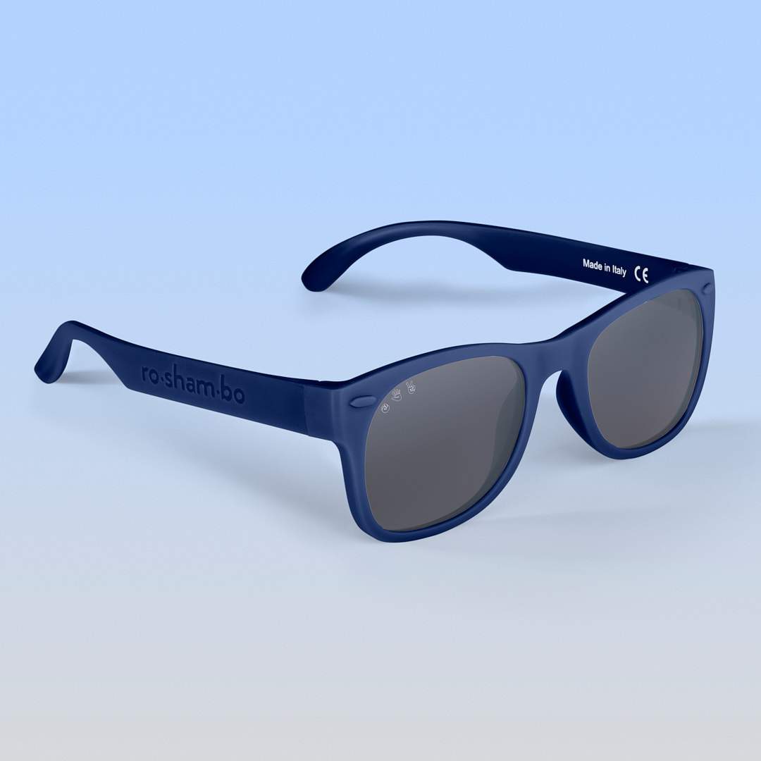 Wayfarer Navy Sunglasses