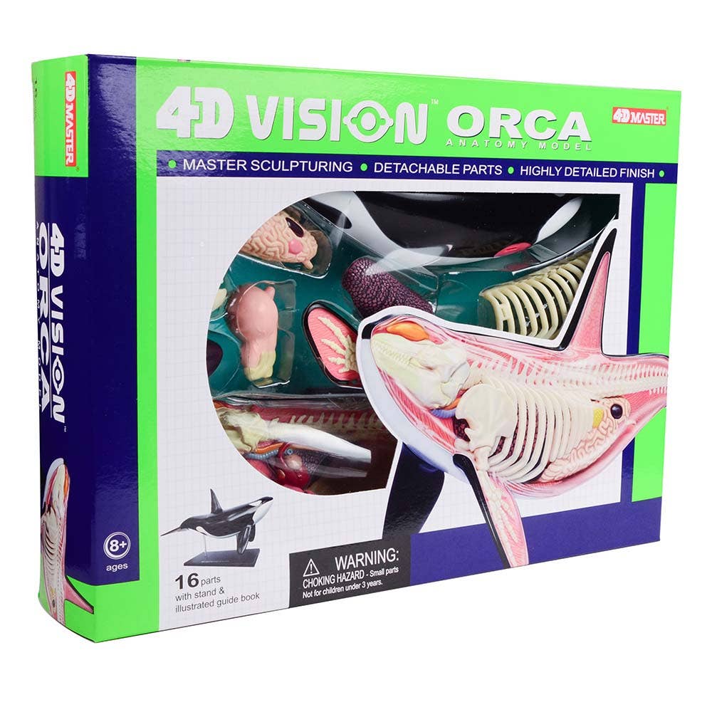 4D Orca