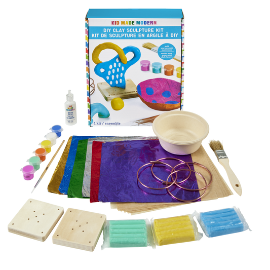 DIY Clay Sculpture Kit